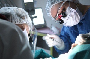 A dentist performing a dental procedure on a patient